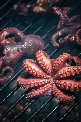 grilled octopus
