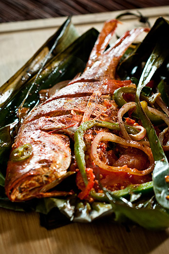 red snapper tikin xic