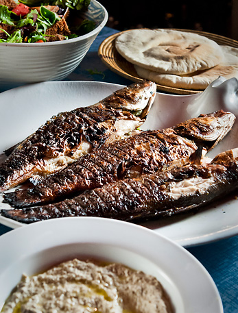 grilled bronzini
