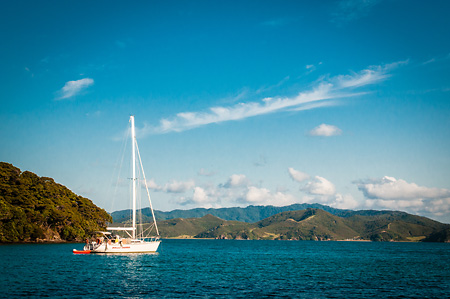 new zealand-bay of islands