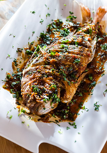 new zealand snapper sichuan style